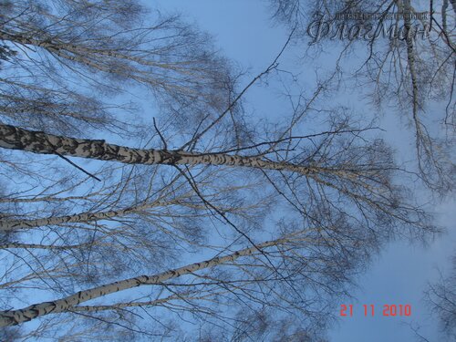 DSC04655_r
